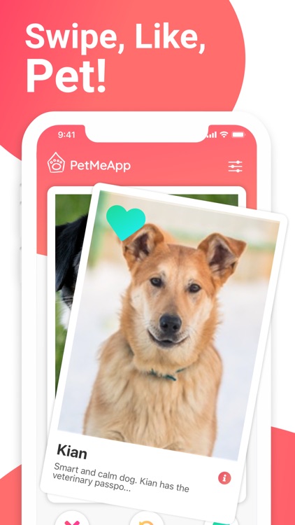 PetMeApp