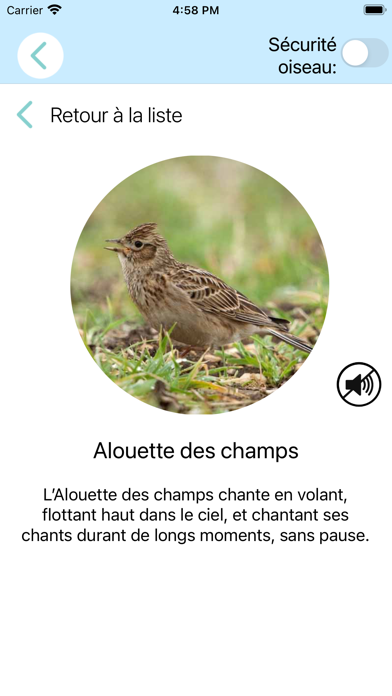 CuiCuiMatique chants d'oiseaux CuiCuiMatique chants d'oiseaux