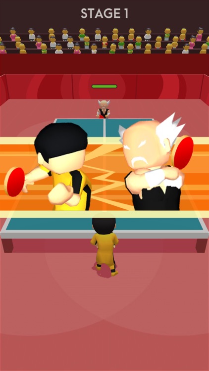 Ping Pong Fighter