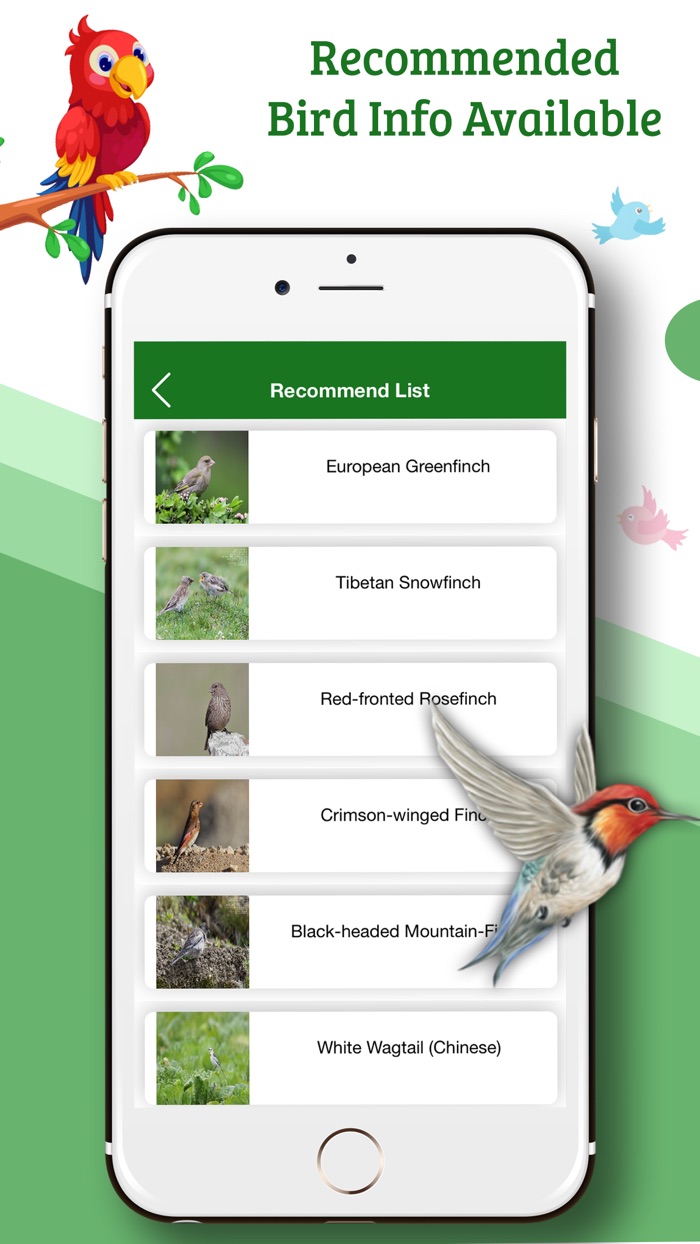 Bird Identifier by Name