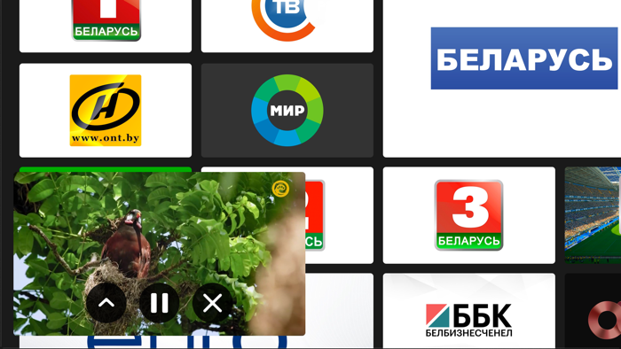 МТС ТВ Беларусь