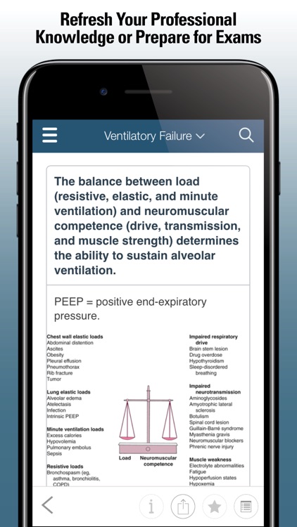 Merck Manual Professional by Merck & Co Inc