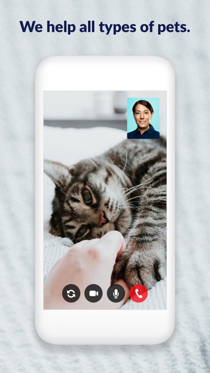 FirstVet screenshot-3