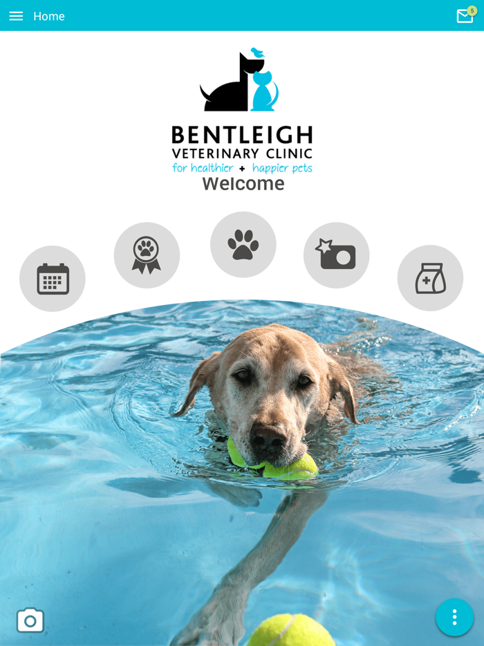 Bentleigh Vet Clinic