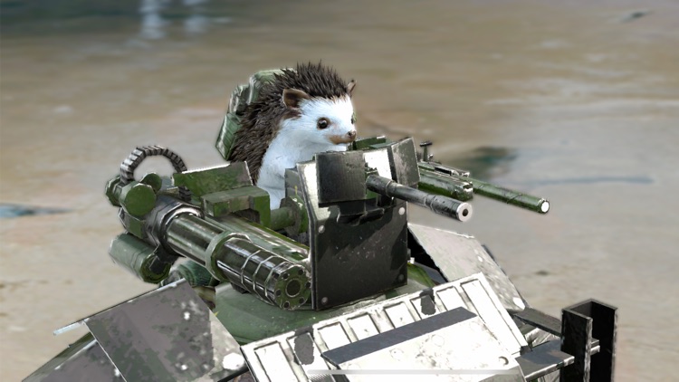 War Tortoise 2