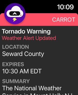 Forecast Forecast