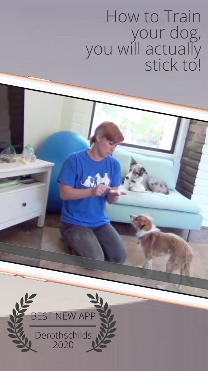 Dog Training Adopt My A Pet