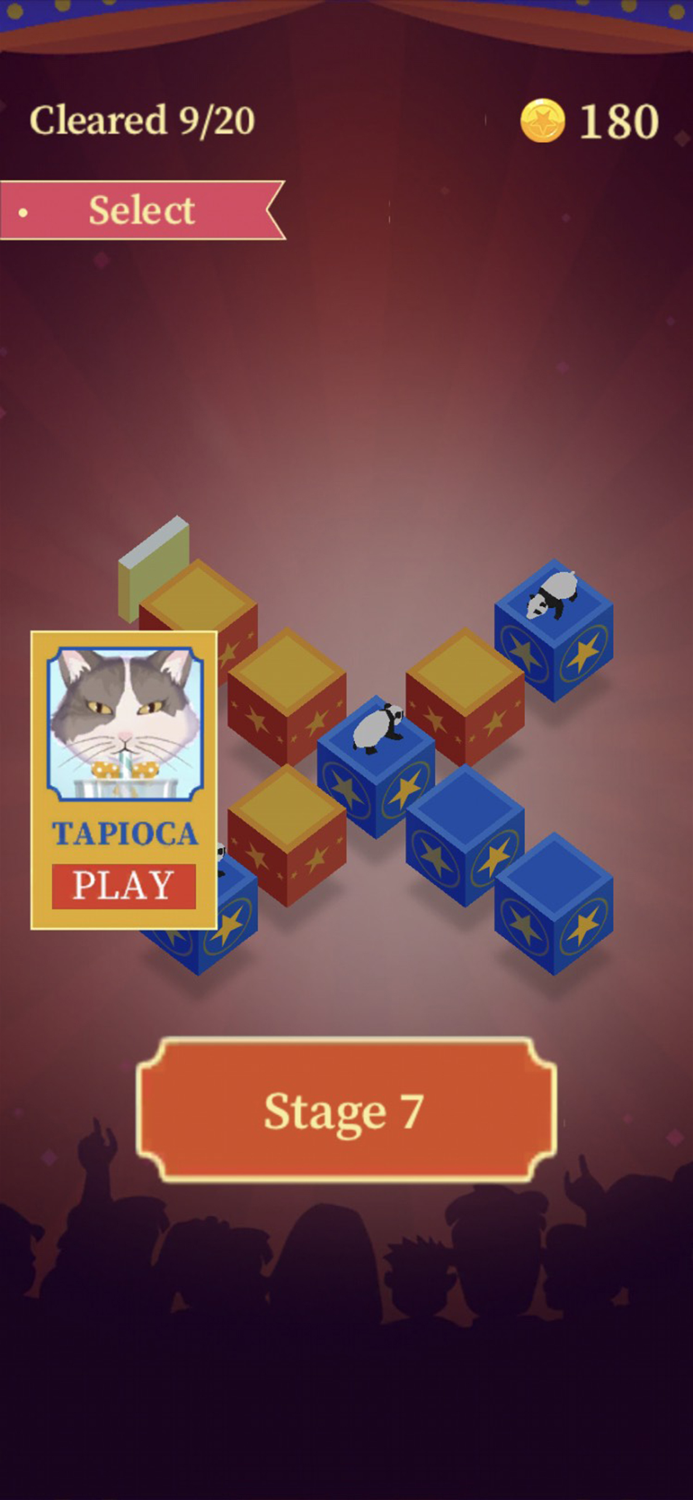 Tiger Master - Puzzle Game