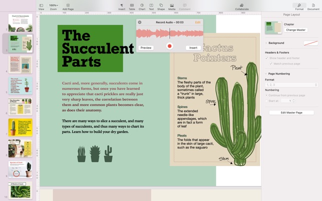 Pages On The Mac App Store