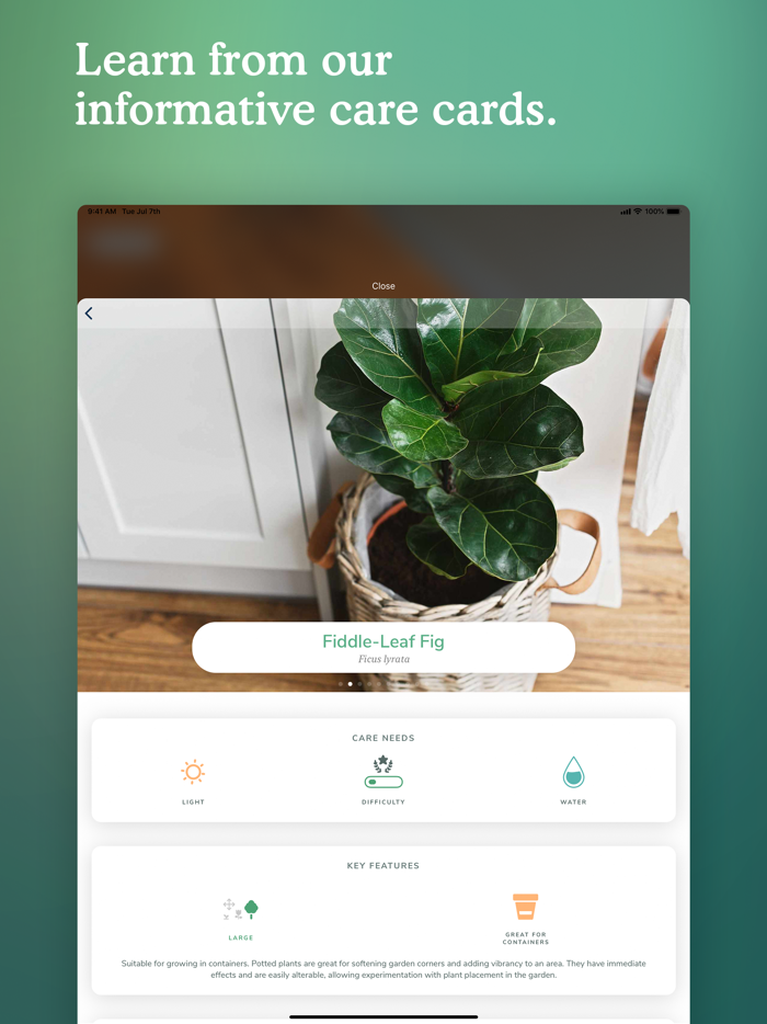 Candide Labels – Plant ID