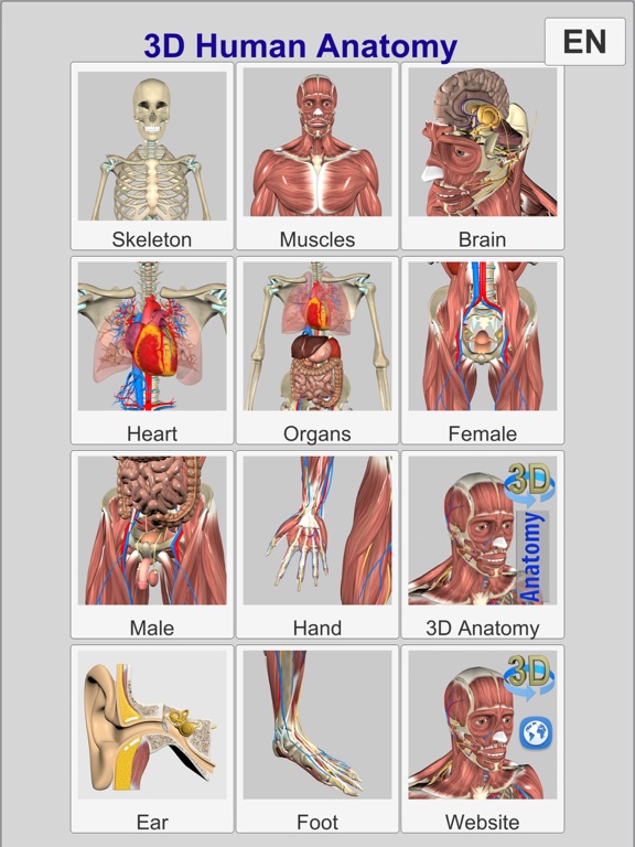 3D Anatomy Learning screenshot