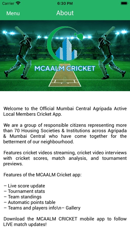 MCAALM Cricket