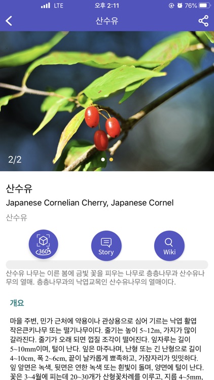 Naturei 나무/식물/곤충 인식 screenshot-3