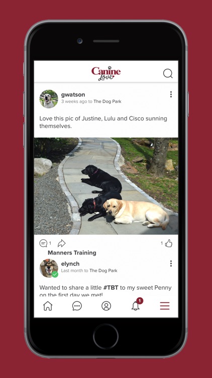Canine Love Community screenshot-4