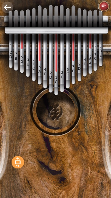 Real Kalimba