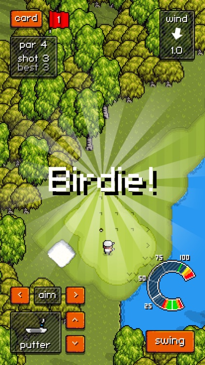 Pixel Pro Golf