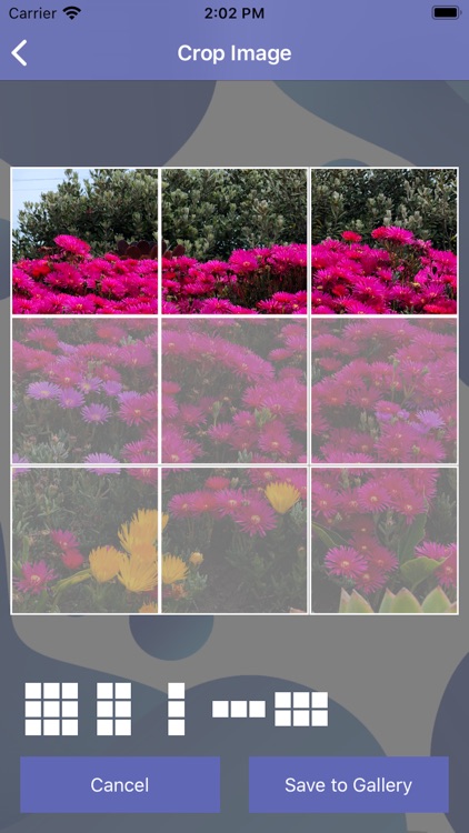 Video Splitter For IG posting