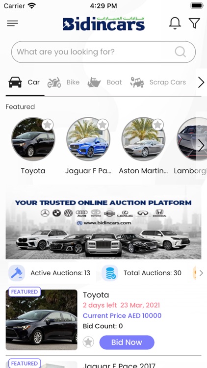 BidinCars Auctions