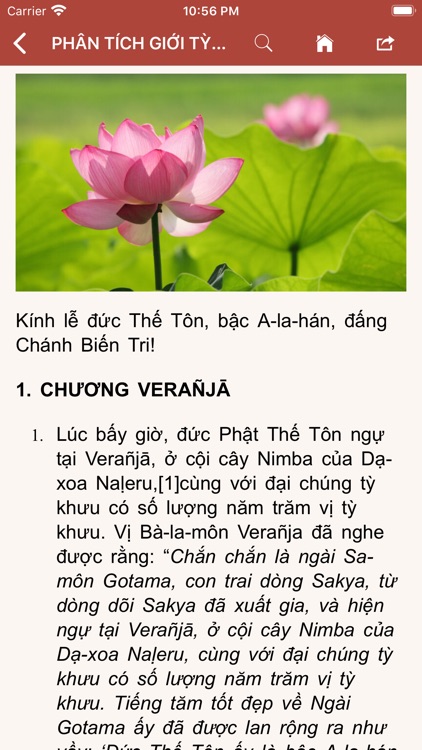 Phật Giáo Theravāda screenshot-4