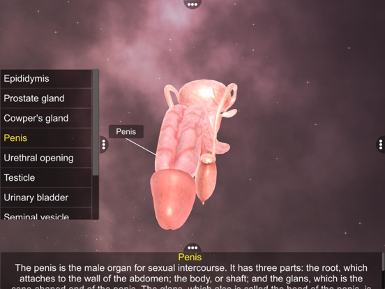 Human Reproductive System screenshot 4