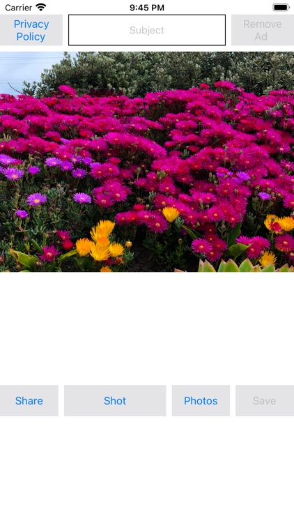 Shot - Share - Camera App