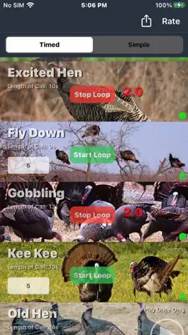 Game screenshot Wild Turkey Calls + apk