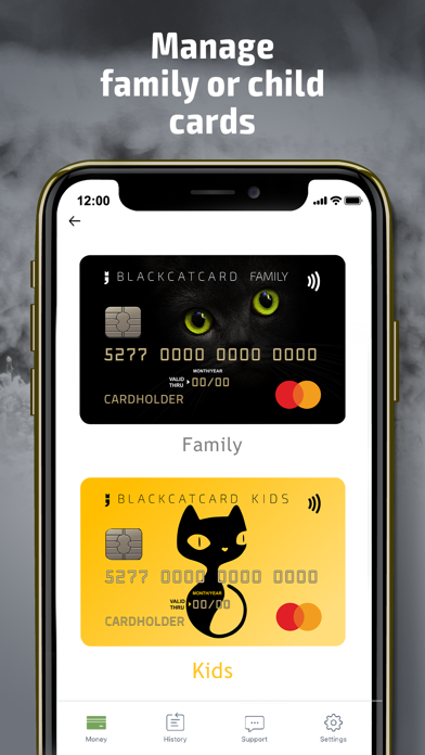 Blackсatсard screenshot 3