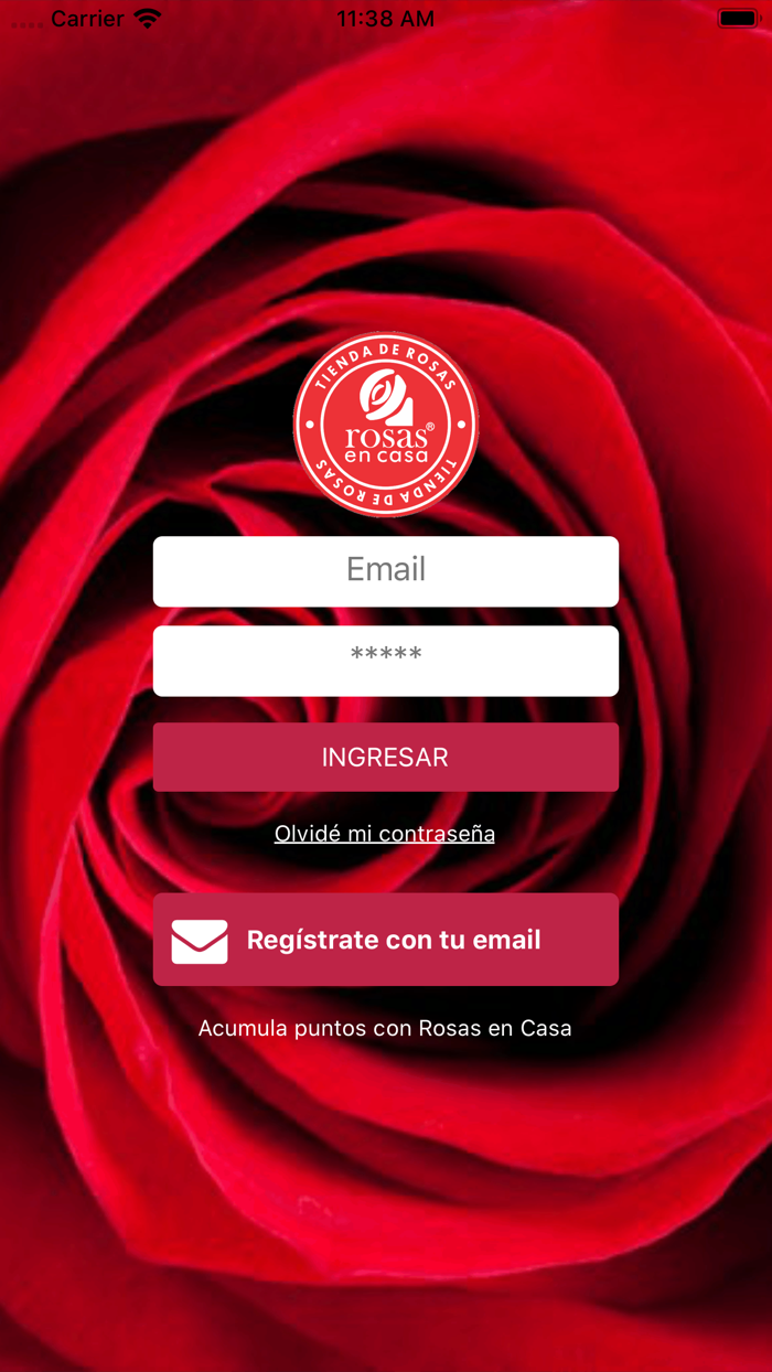 Rosas En Casa