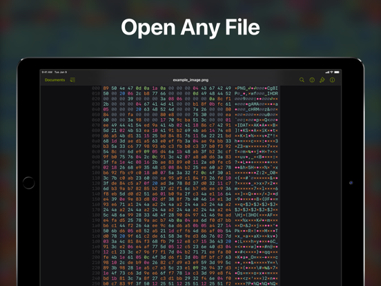 Hexer — Hex File Viewerのおすすめ画像1