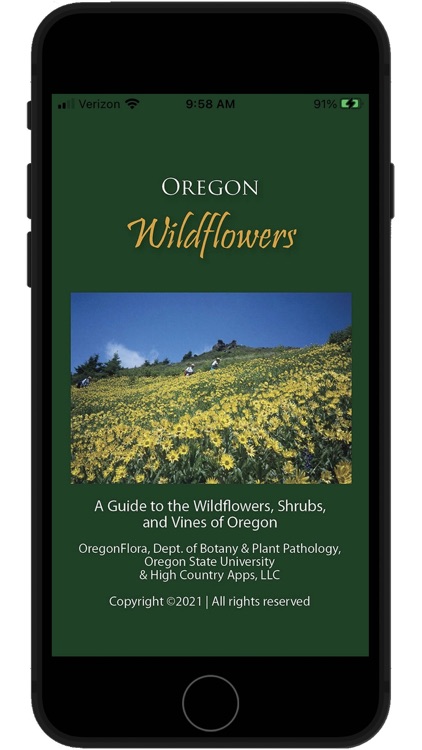 Oregon Wildflowers screenshot-0