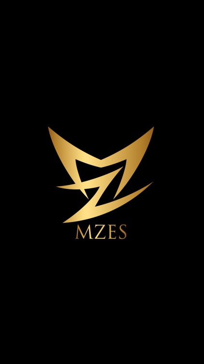 MZES（エムゼス）