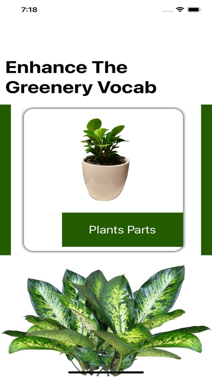 Enhance Greenery Vocab