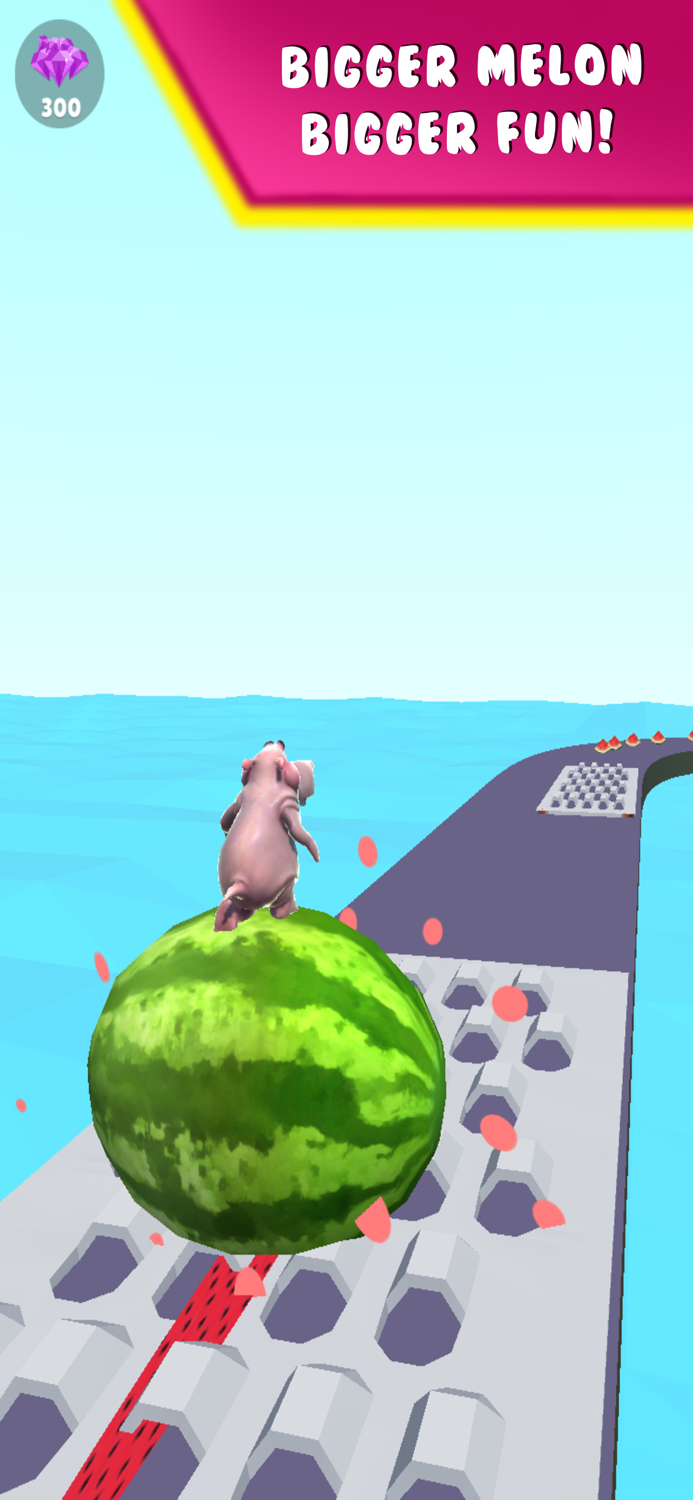 Hippo Run 3D