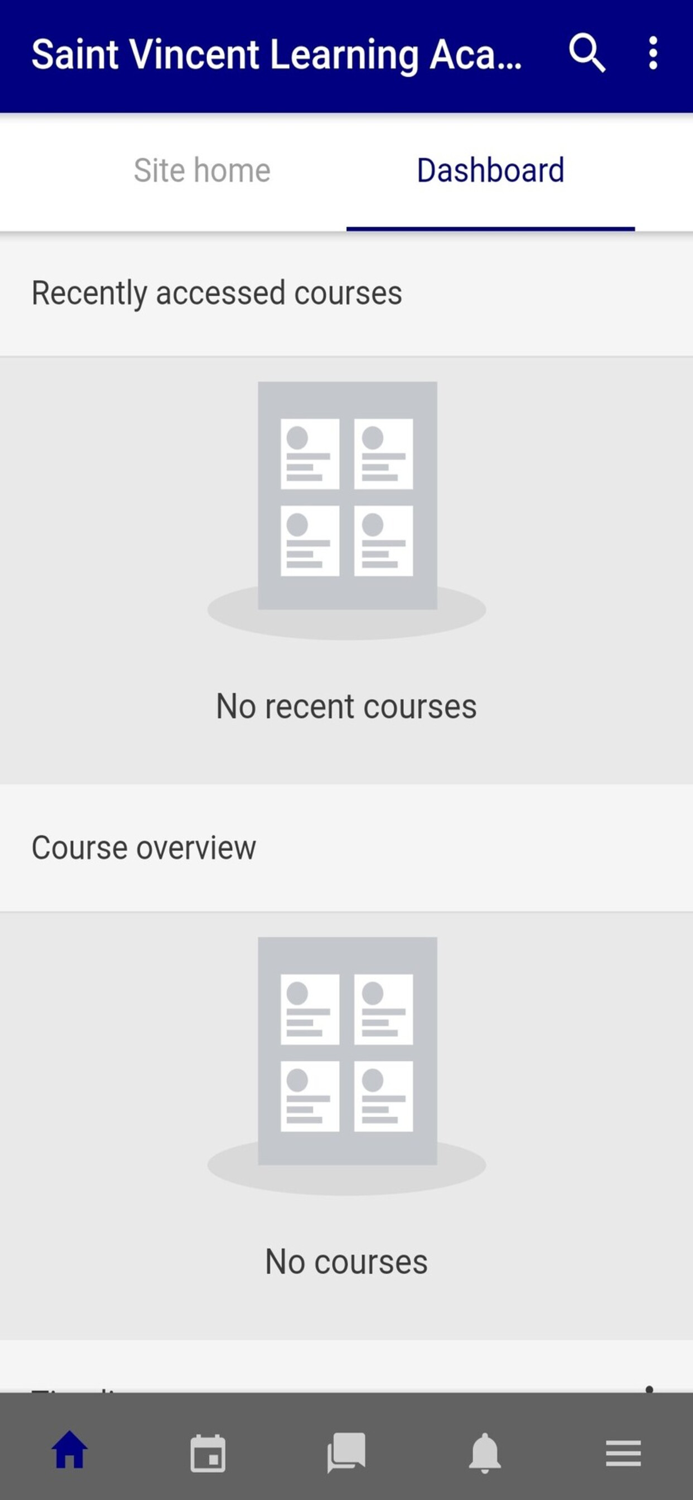 Saint Vincent Learning Academy