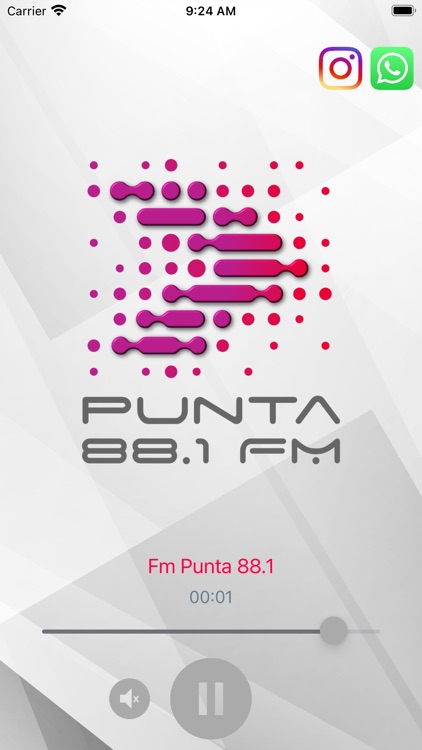 Fm Punta 88.1