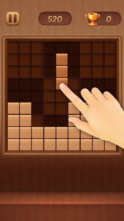 Block Puzzle Wood Sudoku Style