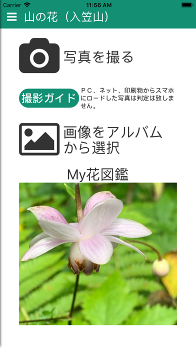 山の花 入笠山 Iphoneアプリ Applion