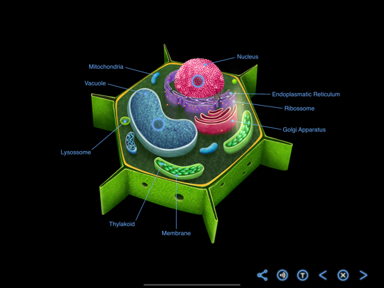 Earth and Science screenshot 3