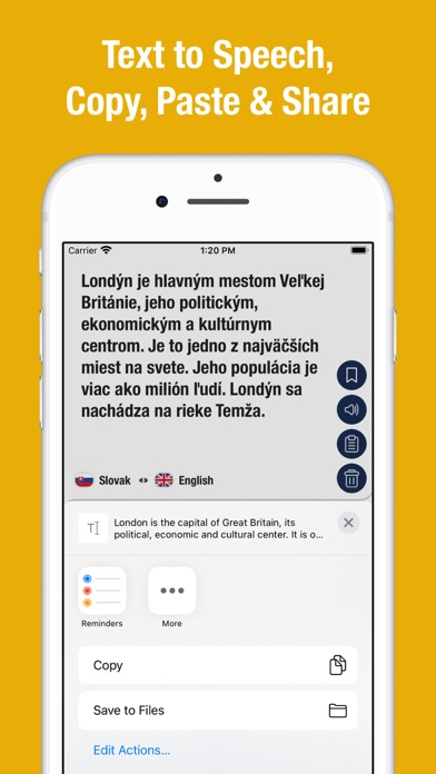 English to Slovak Translator. screenshot 2