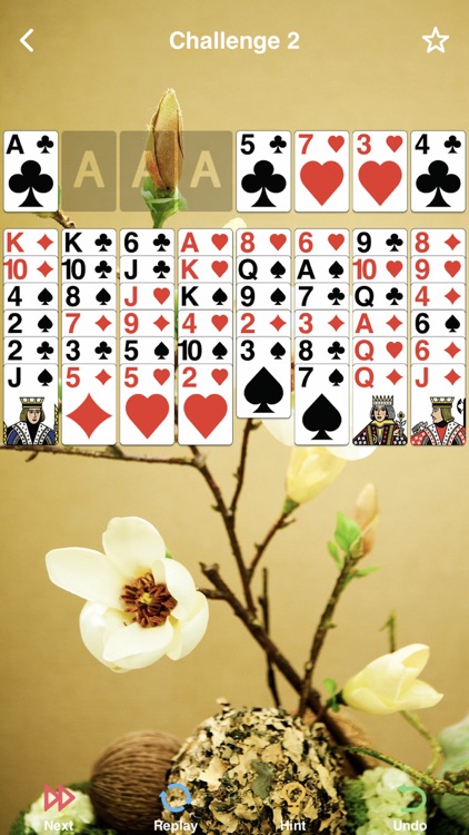 FreeCell Solitaire Poker Game screenshot-4