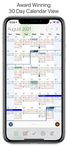 Screenshot 3 Informant 5 Calendar iphone