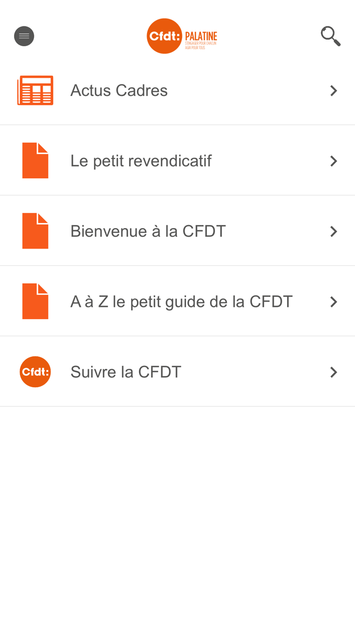 CFDT Palatine
