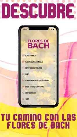 Game screenshot Flores de Bach mod apk