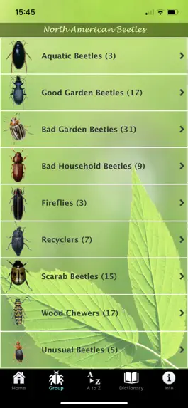 Game screenshot North American Beetles mod apk