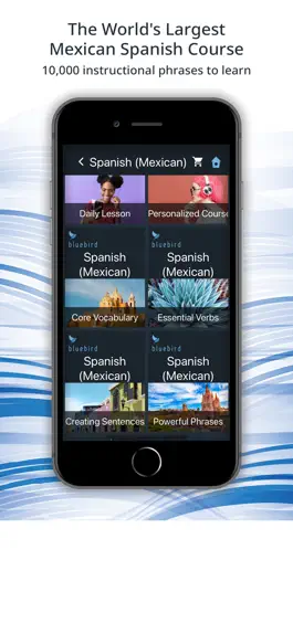 Game screenshot Bluebird: Mexican Spanish mod apk