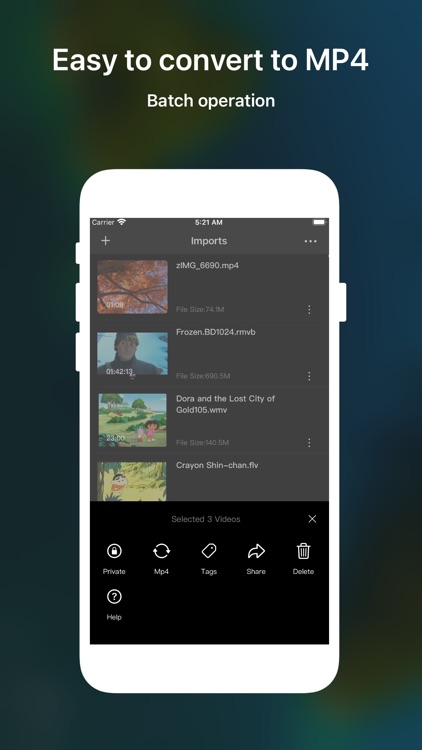 MP4 Plus - Convert to MP4 PRO