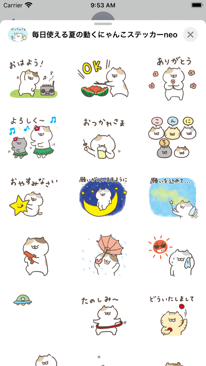 毎日使える動く夏のにゃんこステッカーneo