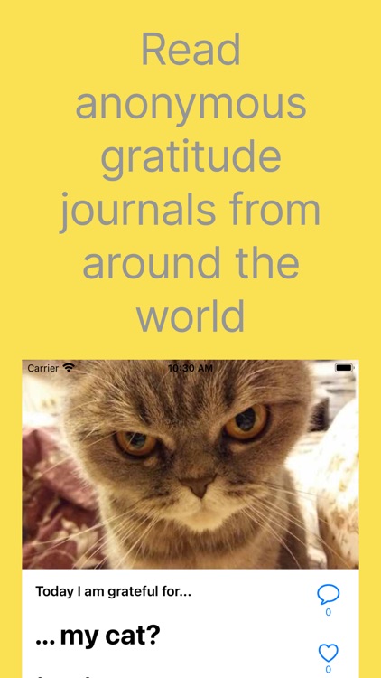 Paitfo: Gratitude Journal