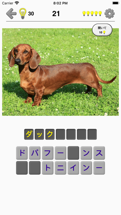 犬 写真付きクイズ 犬の品種一覧 Iphoneアプリ Applion