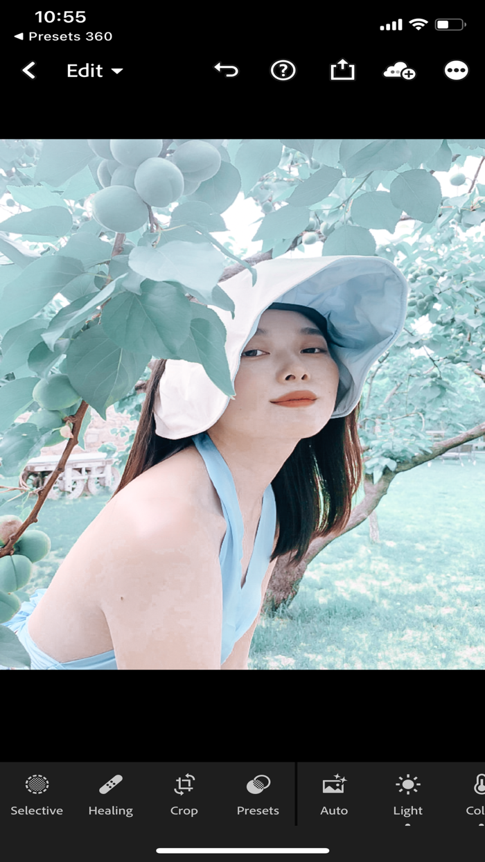 Presets 360 For Lightroom